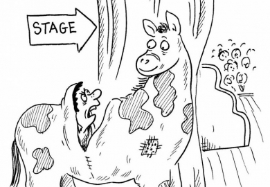 Truyện cười: Niềm tự hào của bà